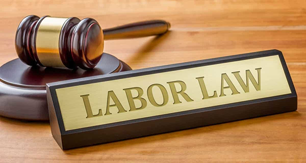 Labor law consulting